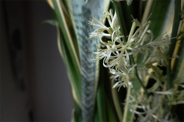 DSC09244_R
