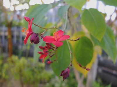 DSCF6519_R