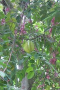 DSCF6832_R