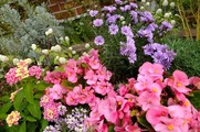 DSCF7326_R