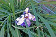 DSCF0763_R