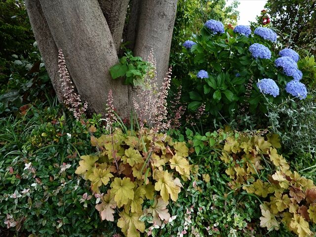 藍川京 の部屋 22年06月21日 Livedoor Blog ブログ