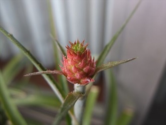 DSCF0500_R