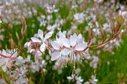 DSCF4093_R