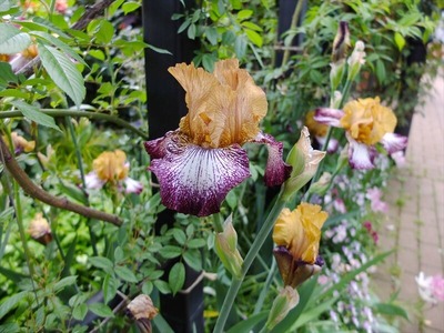 DSCF2861_R