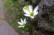 DSCF5122_R