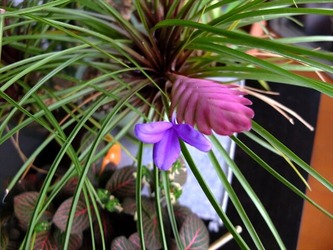 DSCF6239_R