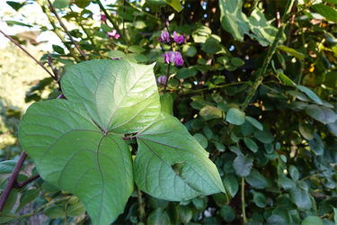 DSC02939_R