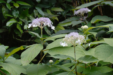 DSC09121_R