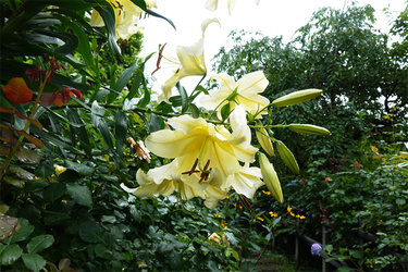 DSC08562_R