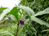 DSCF2305_R