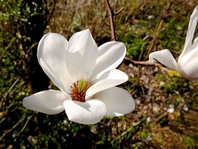 DSCF4552_R