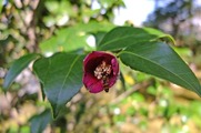 DSCF7931_R