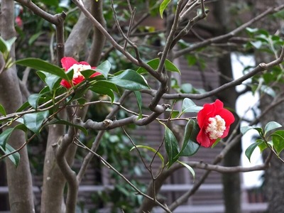 DSCF1227_R