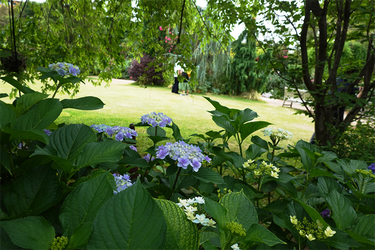 DSC08139_R