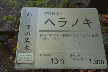 DSC03422_R