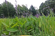 DSCF3840_R