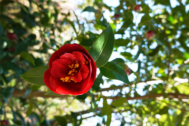 DSC05917_R