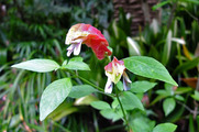 DSCF4259_R