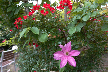 DSC02856_R