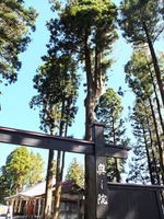DSCF5379_R