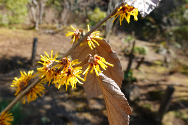 DSC00392_R