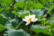 DSCF6089_R