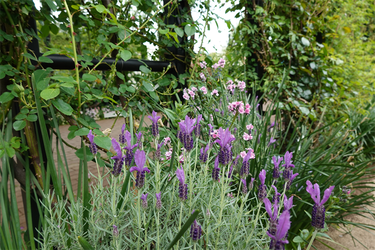 DSC00541_R