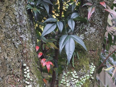 DSCF9627_R