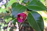DSCF7929_R
