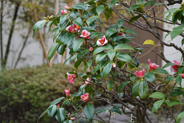 DSC05806_R