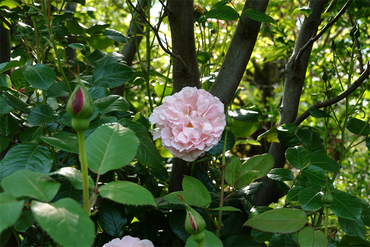 DSC07057_R