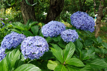 DSC08474_R