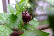 DSCF1256_R
