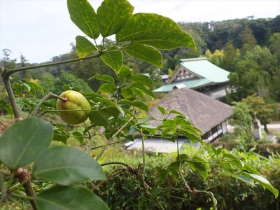 DSCF9045_R