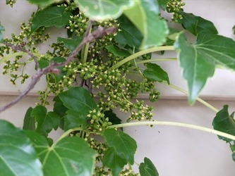 DSCF1322_R