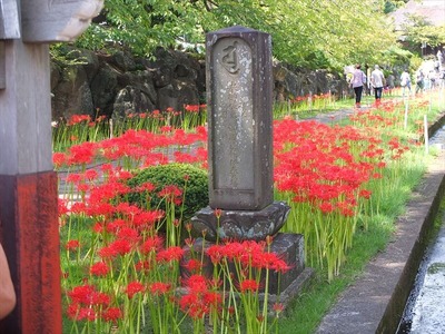 DSCF5553_R