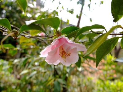 DSCF1592_R