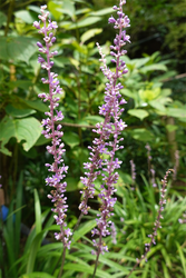 DSC09140_R