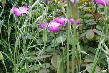 DSC06883_R