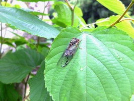 DSCF1079_R