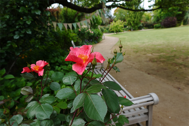 DSC06856_R