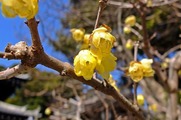DSCF0715_R