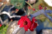 DSCF0717_R