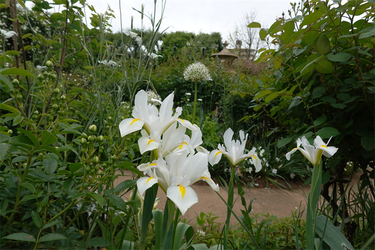 DSC06939_R