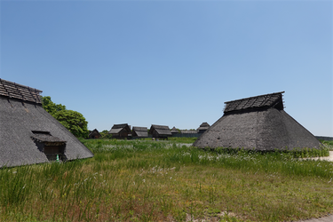 DSC07983_R