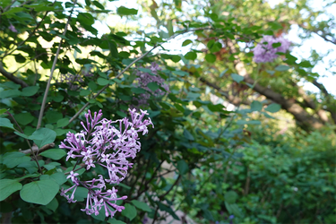 DSC06747_R