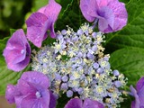 DSCF2488_R