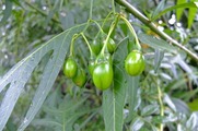 DSCF4853_R
