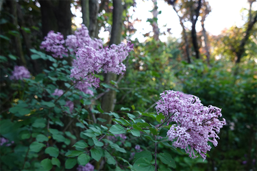 DSC06748_R